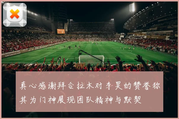 真心感谢拜合拉木对李昊的赞誉称其为门神展现团队精神与默契