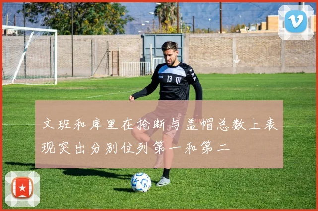 文班和库里在抢断与盖帽总数上表现突出分别位列第一和第二
