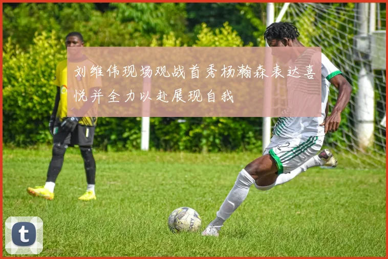 刘维伟现场观战首秀杨瀚森表达喜悦并全力以赴展现自我
