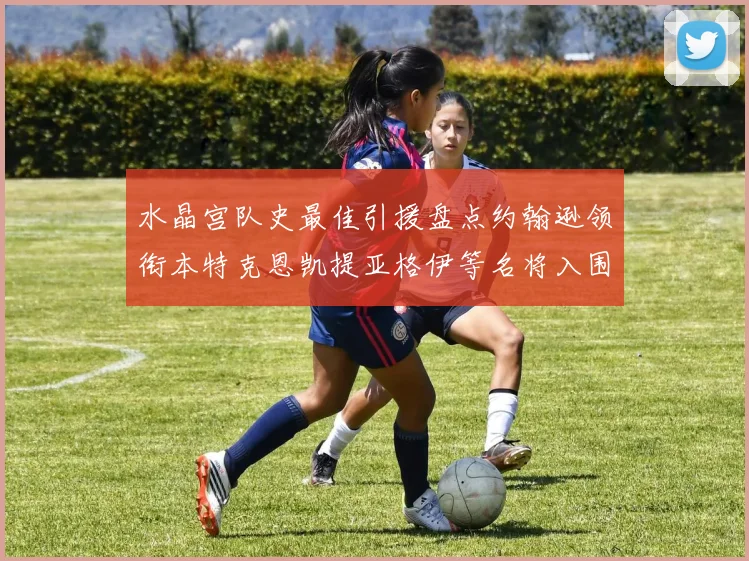 水晶宫队史最佳引援盘点约翰逊领衔本特克恩凯提亚格伊等名将入围